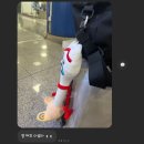 미술관 아산용화점 이미지