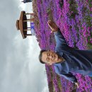 2023경남 함양 생초 감악산 꽃동산 모음 사진 이미지