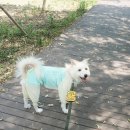 재인수산