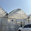 나눔농장 | 파주 아기랑 가볼만한곳｜실내 나눔농장 체험 후기