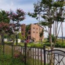 꿈을담은틀 이미지