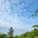 땅통종주＜7＞(호남3/노고치~ 주월산 활공장) 64 km.. 추억과 현실 그 교차점에서 이미지