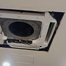 랑'S종합동물병원 | 드디어 찾았다! 우리 집 찐 구원투수 대전 에어컨청소 맛집 탐방기