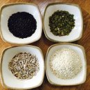 오늘따라청둥오리 이미지