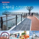 동해시-59 | 동해 묵호항 도째비골 스카이밸리 묵호 여행 특산품