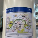 분당서울대병원 원외처방전 가까운 약국찾기 외부약국 비교 시니어스 약국 주차