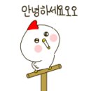 진흥샷시인테리어 이미지