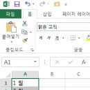 [엑셀 2013] 025. 자동 채우기 버그의 수정 이미지