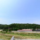 삼본농장 이미지