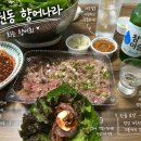 용원향어나라