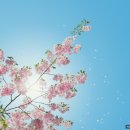 금성주방 이미지