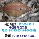 주문진 오징어축제 주문진항 산오징어 가격, 시세 이미지