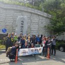 초록선율