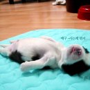 참 이미지