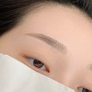 헤일로디자인