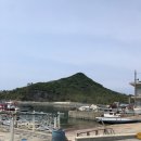 외연도둘레길 | [충남 외연도] 외연도 유일한 식당 "상록수림맛집"