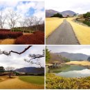 동부산 CC 이미지