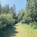 색달동-15 이미지