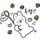 솔트펀