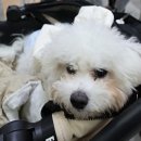 환영식당 이미지