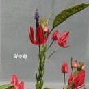 미소화