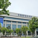 회화나무 도서관 네이버블로그