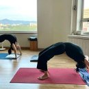한국요가명상원