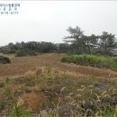 제주995 이미지