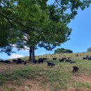 산너미농장 이미지