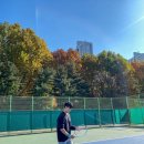 테린이 기록 [올림픽공원 테니스장 방문기, 후기, 예약 방법, 주차]