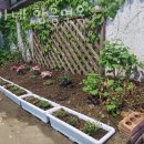 함흥횟집 이미지