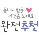 댕츄 네이버블로그