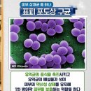 하나상재 이미지