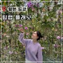 베이랩짐 | 도쿄 팀랩 플래닛 전시회 예약 가격 할인 복장 준비물 추천 후기