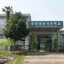 강진-36 이미지