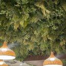 리조트휘트니스 헬스&PT 롯데백화점 일산점 이미지