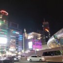 동화반점 이미지