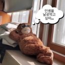 하루정 이미지