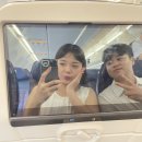 제주 올라 | 극성수기 제주도 태교여행1( ⸝⸝ ᷇࿀ ᷆⸝⸝ƪ)✧ | 제주 광해 | 아르떼뮤지엄 | 오설록 | 엄쟁이1988 | 1100고지...