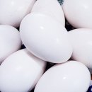 김재연농장 이미지