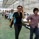 에덴농장 이미지