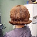 스타일 제이(style j) 헤어 이미지