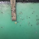 판포 현스테이 이미지