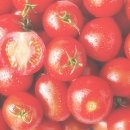 전라도음식 이미지