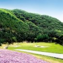 주식회사 신원 이미지