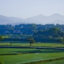 아침들녘 이미지