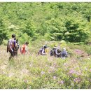 미인장수 이미지