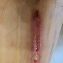 센스이비인후과의원 이미지