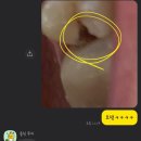 e－바른치과의원 이미지
