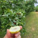 천서농장 이미지